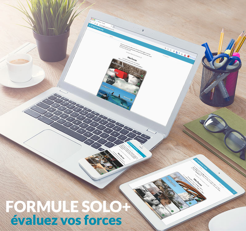 Cartes des forces – Formule SOLO+ | outil digital