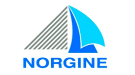 logo norgine