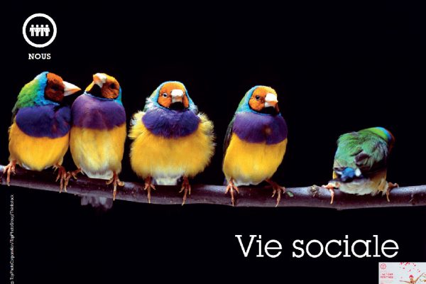 Vie sociale
