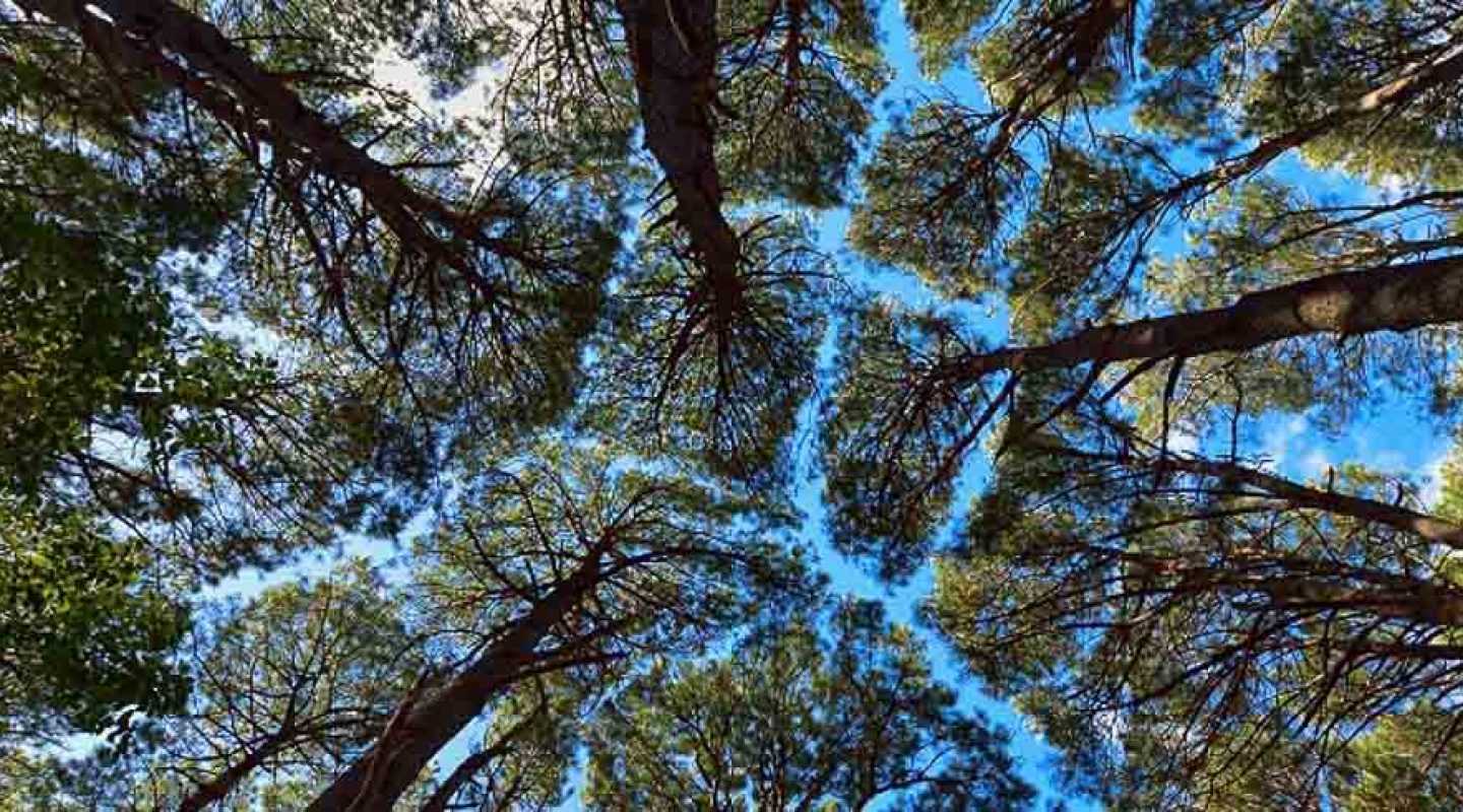 le bonheur se situe dans la nature