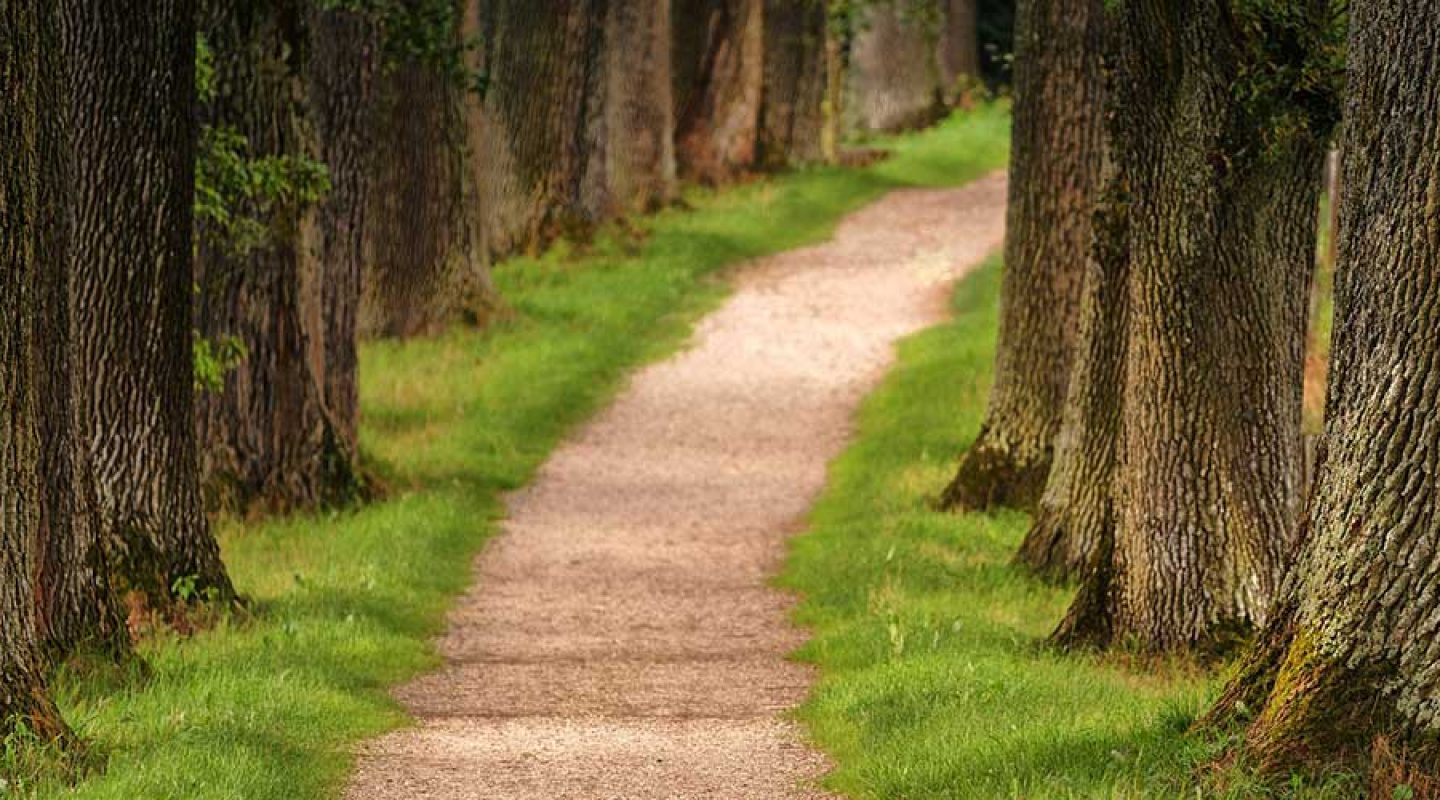 the-long-way-home